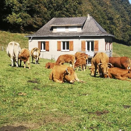 Tourmalet Villa Campan Bagian luar foto