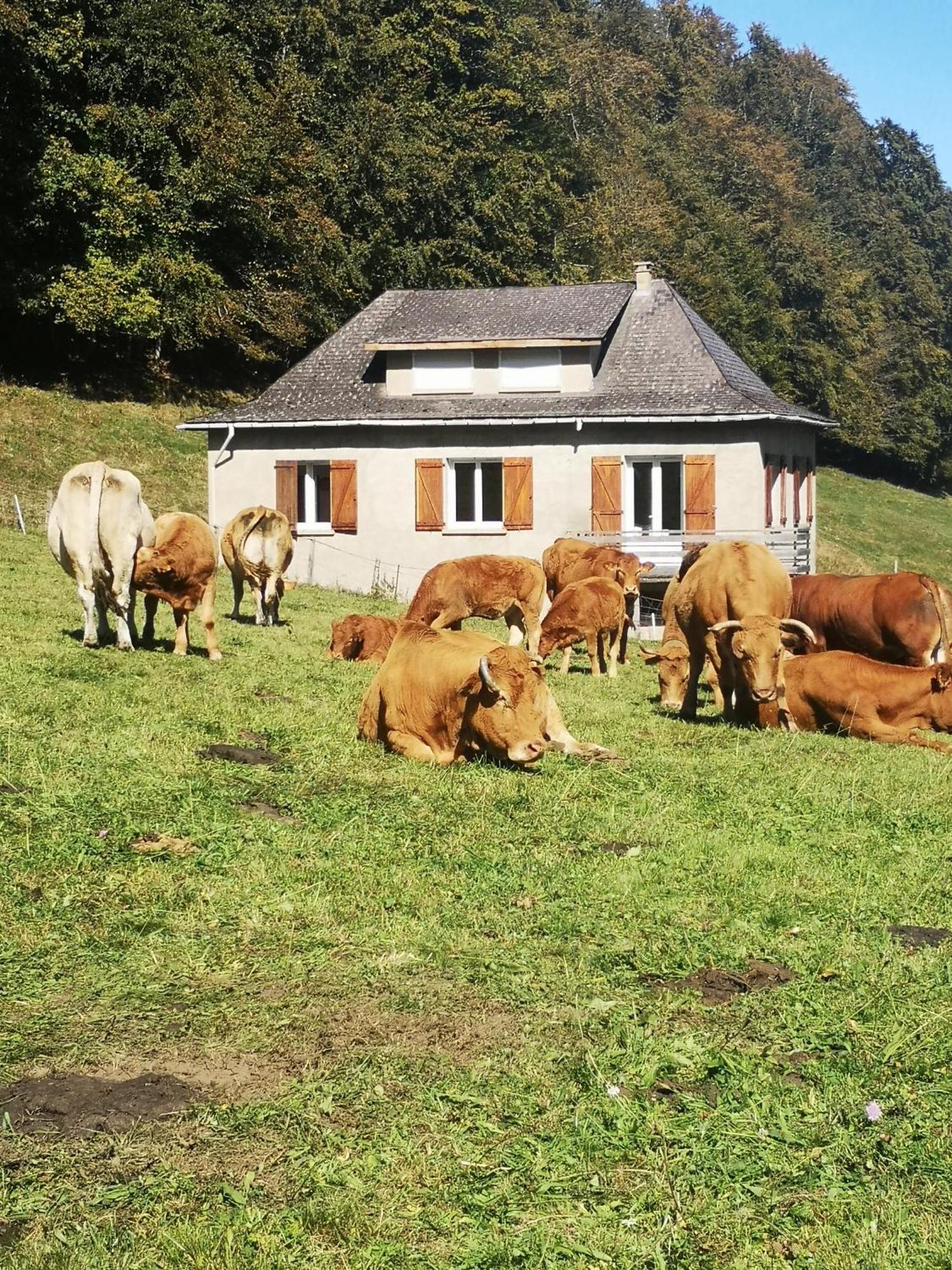 Tourmalet Villa Campan Bagian luar foto